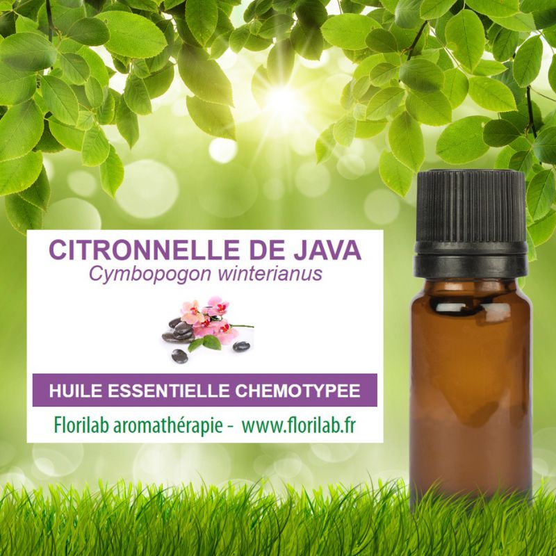 Huile essentielle de CITRONNELLE de JAVA Huile essentielle de CITRONNELLE de JAVA