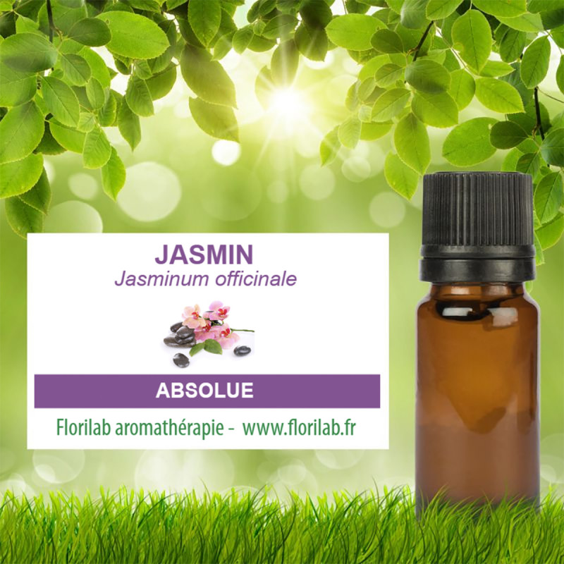 Absolue de Jasmin Absolue de Jasmin