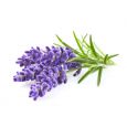 Eau florale de Lavande