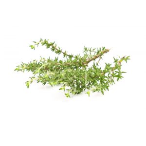 Eau florale de Thym à linalol